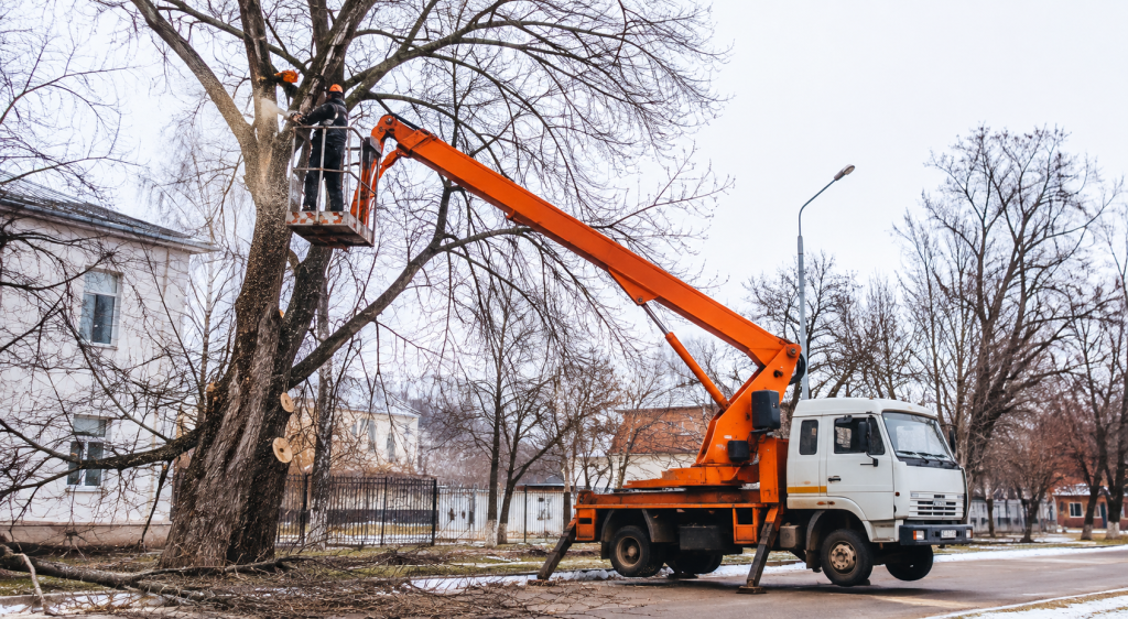 Автовишка – спецтехніка, яка потрібна цілий рік